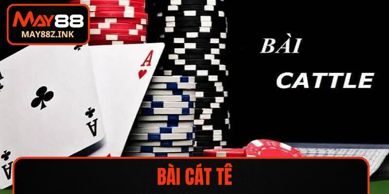 bai cat te
