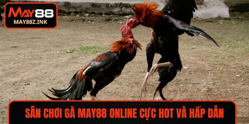 Sân chơi cá cược gà online cực hot và hấp dẫn