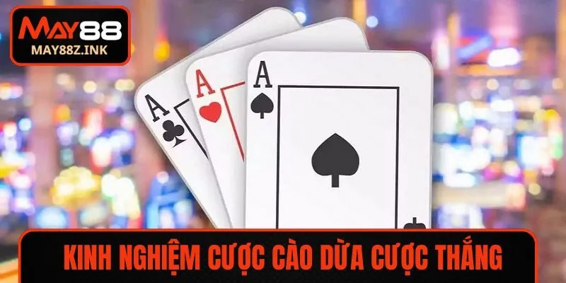 Một vài kinh nghiệm cược cào dừa cược thắng