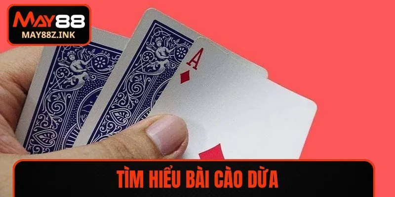 Tìm hiểu bài cào dừa