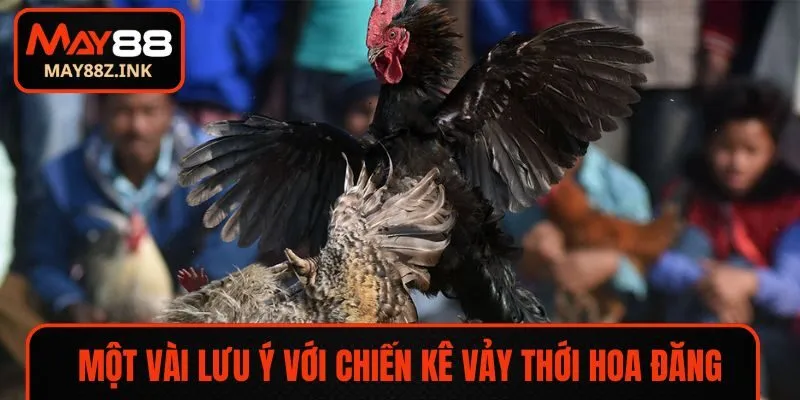 Một vài lưu ý với chiến kê vảy thới hoa đăng