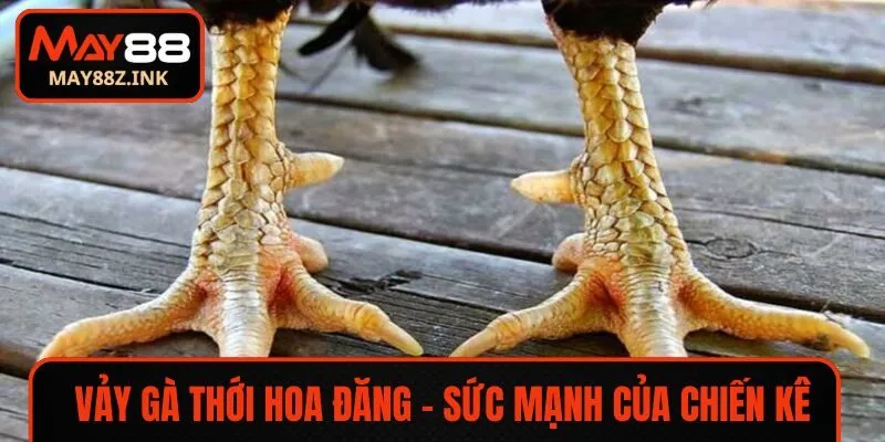 vay ga thoi hoa dang