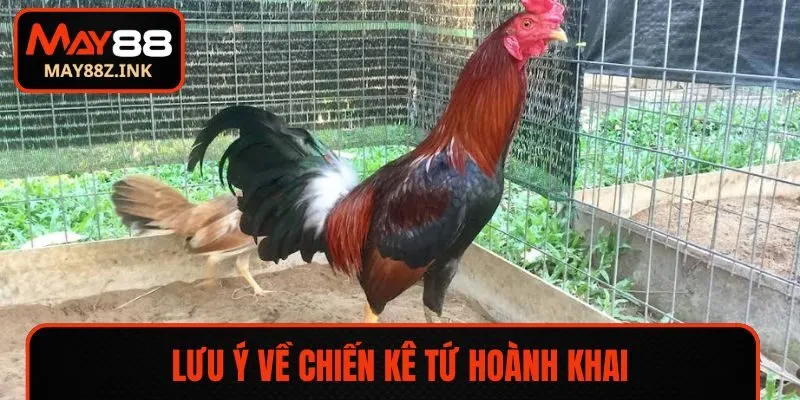 Lưu ý về chiến kê Tứ Hoành Khai
